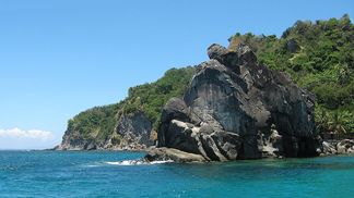 Marine Sanctuary Apo Island, Philippines